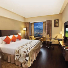 Hotel Vrisa 4* Номер Делюкс с различными типами кроватей фото 5