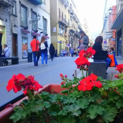 Отель Casetta in centro Италия, Палермо - отзывы, цены и фото номеров - забронировать отель Casetta in centro онлайн
