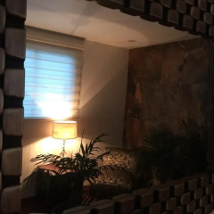 Отель Casa Molcajete Мексика, Мехико - отзывы, цены и фото номеров - забронировать отель Casa Molcajete онлайн гостиничный бар