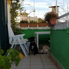 Отель Casa Colori Конверсано
