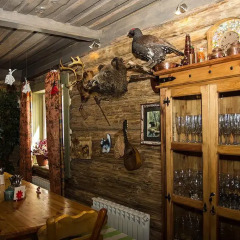 Гостиница Green Forest Club гостиничный бар