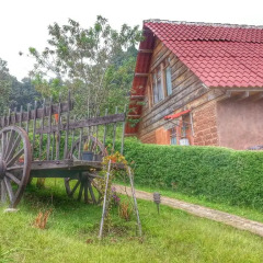 Отель Cabañas y Suites Sergia Torres 3* Люкс с различными типами кроватей