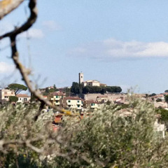 Отель Il Polveraio Agriturismo Lucia Монтескудаио приотельная территория