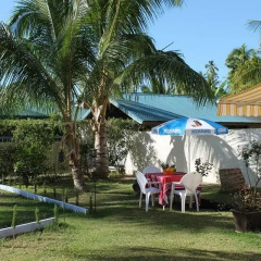 Отель Residence Les Cocotiers Французская Полинезия, Папеэте - отзывы, цены и фото номеров - забронировать отель Residence Les Cocotiers онлайн фото 3