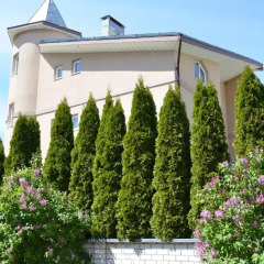 Гостиница Cottage with sauna and pool Коттедж разные типы кроватей фото 2