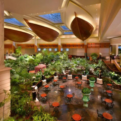 Отель Grand Hyatt Residence