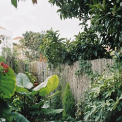 Апартаменты Apartment with Small Garden