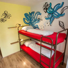 Island Hostel Adults only Кровать в общем номере фото 14