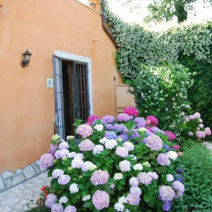 Отель B&B Nonnapapera Сутри фото 4