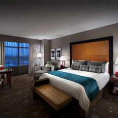 Seminole Hard Rock Hotel and Casino 4* Номер Делюкс с различными типами кроватей фото 4