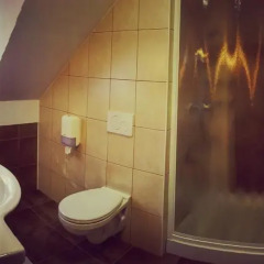 Отель Guesthouse Aleš 3* Стандартный номер с различными типами кроватей фото 8