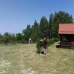 Отель Country Club Primi Faggi Санто-Стефано-ин-Аспромонте с домашними животными