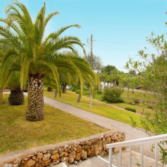 Club Hotel Tropicana Mallorca - All Inclusive 3* Стандартный номер с различными типами кроватей фото 4