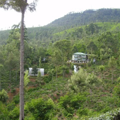 Отель Ranmal Tea Plantation Bungalow 2* Стандартный номер с различными типами кроватей фото 5
