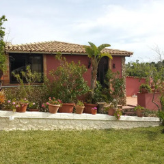 Отель Villa Smeralda Студия