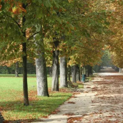 Отель The Diamond Flat Италия, Парма - отзывы, цены и фото номеров - забронировать отель The Diamond Flat онлайн приотельная территория