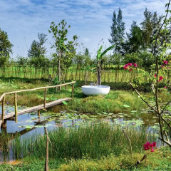 Отель Allamanda Estate 4* Вилла с различными типами кроватей фото 8