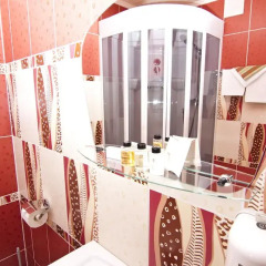 Гостиница «Аэропорт» 3* Люкс с различными типами кроватей фото 15