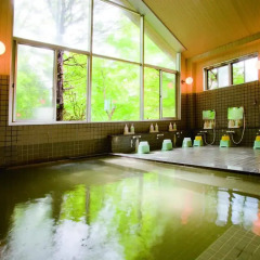 Отель Umeyashiki Ryokan Никко бассейн фото 3