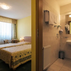 Henlex Hotel 3* Стандартный номер с различными типами кроватей фото 2