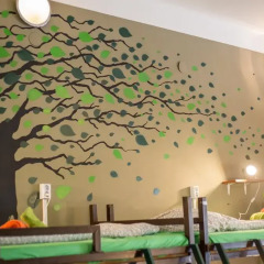 Island Hostel Adults only Кровать в общем номере фото 16