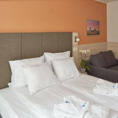 Wellton Riga Hotel & SPA 4* Стандартный номер с различными типами кроватей фото 3