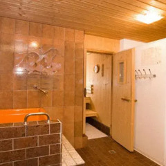 Hotel Alpina сауна