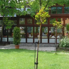 Otantik Club Hotel Турция, Бурса - отзывы, цены и фото номеров - забронировать отель Otantik Club Hotel онлайн фото 4