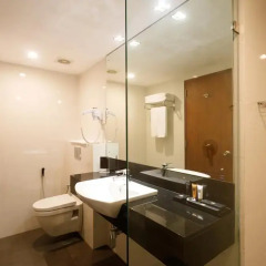 Renuka City Hotel 3* Стандартный номер с различными типами кроватей фото 9