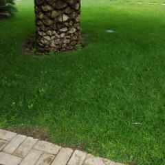 Отель Il Drago Azienda Turistica Rurale Италия, Айдоне - отзывы, цены и фото номеров - забронировать отель Il Drago Azienda Turistica Rurale онлайн фото 6