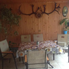 Гостиница Guest House Solnyshko питание