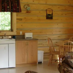 Отель Mica Mountain Lodge & Log Cabins в номере фото 2