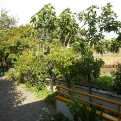 Отель Villa Gina Кьянчиано Терме балкон