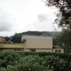 Отель New Nuwara Eliya Inn фото 5