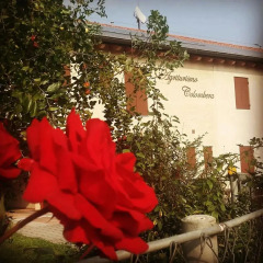 Отель Agriturismo-B&B Colombera фото 8