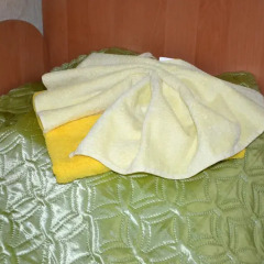 Express Hotel ванная