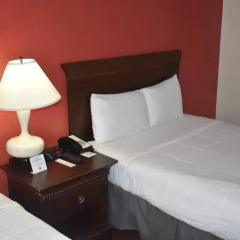 South Beach Plaza Hotel 3* Стандартный номер с различными типами кроватей фото 15