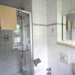 Отель Jagerhof 3* Стандартный номер с различными типами кроватей фото 3