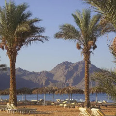 Отель La Playa Beach Resort Taba 5* Стандартный номер с различными типами кроватей фото 4