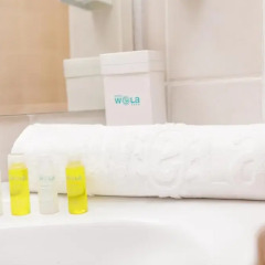 Wela Hotel - All Inclusive 4* Стандартный номер с различными типами кроватей фото 3