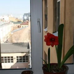 Апартаменты Apartments on Shpalernaya балкон
