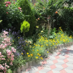 Отель Sunny Island Obzor Болгария, Аврен - отзывы, цены и фото номеров - забронировать отель Sunny Island Obzor онлайн фото 5