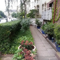 Отель Hotelgarni Frankfurt Стандартный номер с различными типами кроватей фото 12