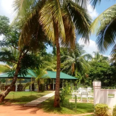 Отель Rajarata Lodge фото 11