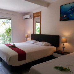 Hotel Hibiscus 3* Стандартный номер с различными типами кроватей