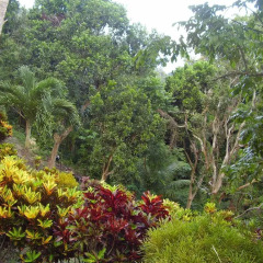 Отель Teresinajamaica 3* Стандартный номер фото 4
