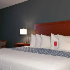 Отель Econo Lodge Effingham 2* Стандартный номер с различными типами кроватей фото 3