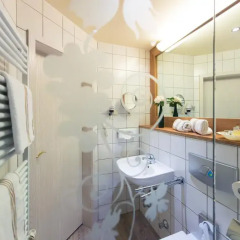 Отель Akzent Waldhotel Rheingau 4* Номер Комфорт с различными типами кроватей фото 8