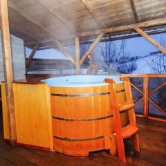Гостиница Holiday home Emelya в Костроме 1 отзыв об отеле, цены и фото номеров - забронировать гостиницу Holiday home Emelya онлайн Кострома бассейн