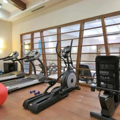 DoubleTree by Hilton Hotel Van Турция, Ван - отзывы, цены и фото номеров - забронировать отель DoubleTree by Hilton Hotel Van онлайн фитнесс-зал фото 4